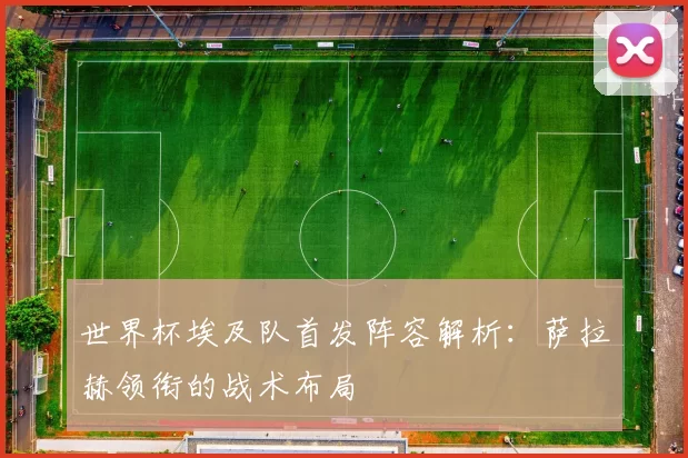 世界杯埃及队首发阵容解析:萨拉赫领衔的战术布局