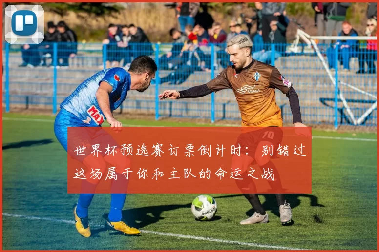 世界杯预选赛订票倒计时：别错过这场属于你和主队的命运之战