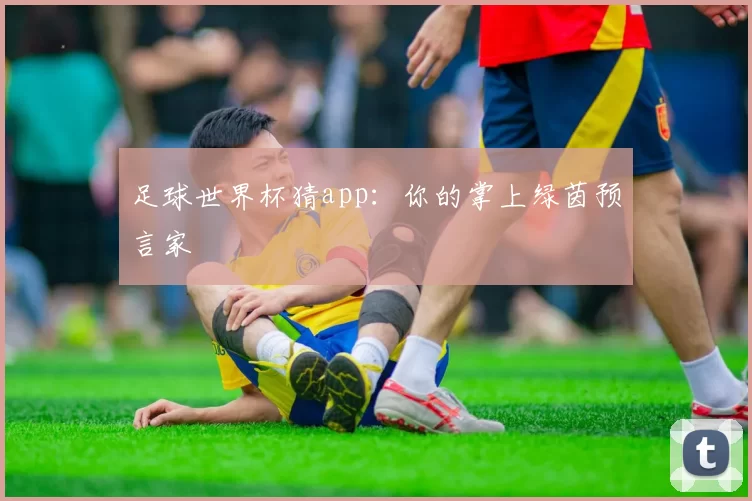 足球世界杯猜app：你的掌上绿茵预言家