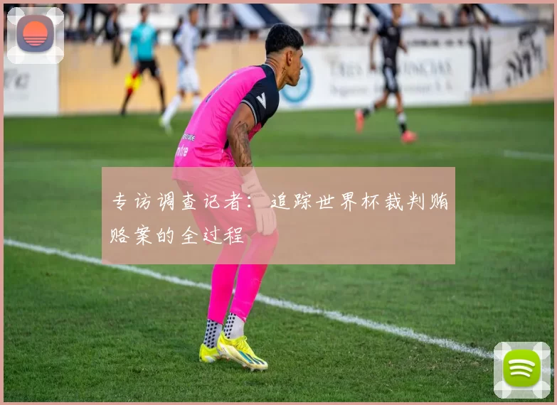专访调查记者：追踪世界杯裁判贿赂案的全过程