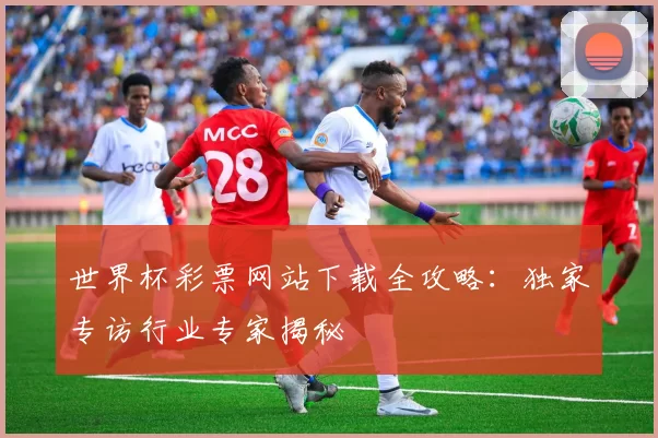 世界杯彩票网站下载全攻略：独家专访行业专家揭秘