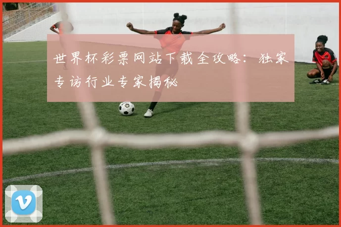 世界杯彩票网站下载全攻略：独家专访行业专家揭秘