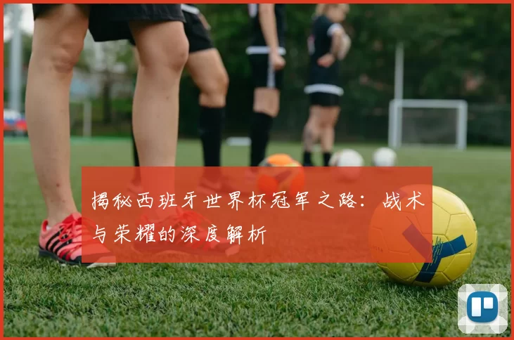 揭秘西班牙世界杯冠军之路：战术与荣耀的深度解析