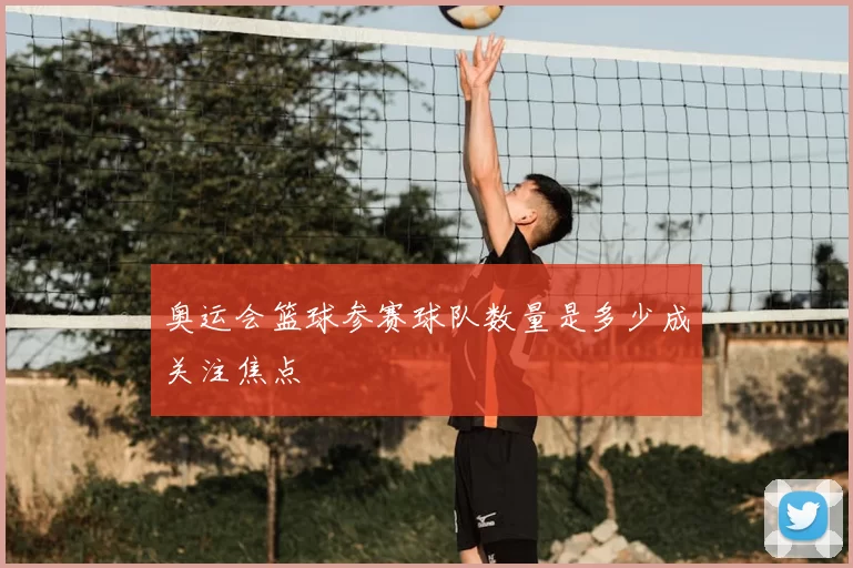 奥运会篮球参赛球队数量是多少成关注焦点