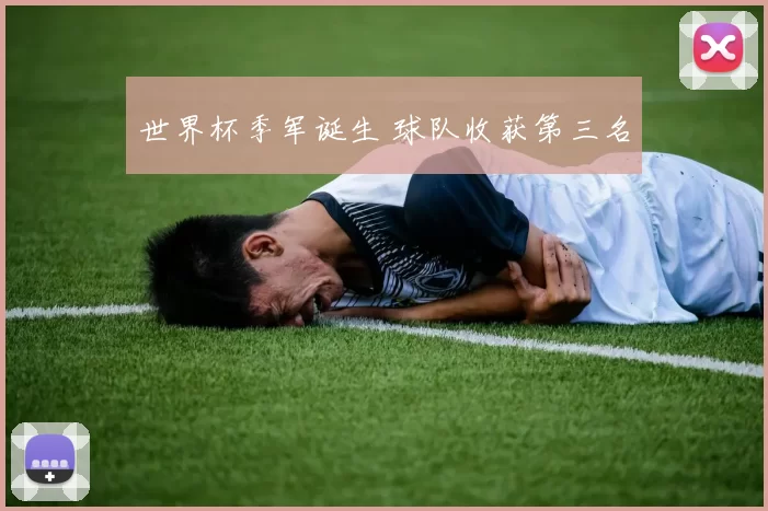 世界杯季军诞生 球队收获第三名
