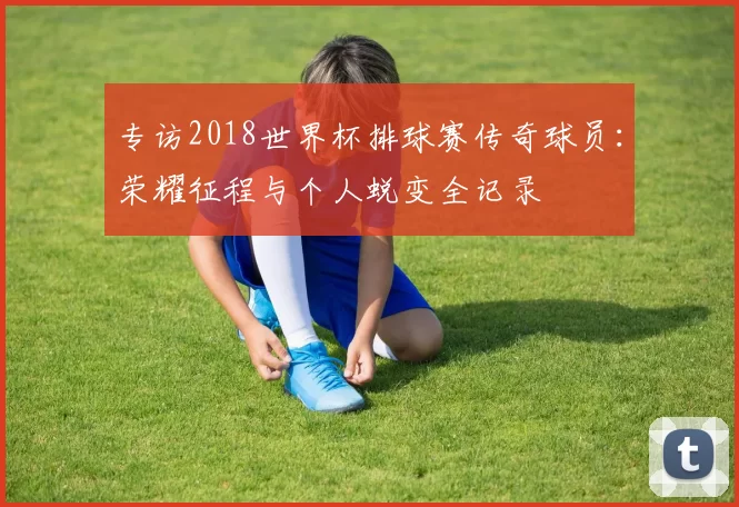 专访2018世界杯排球赛传奇球员：荣耀征程与个人蜕变全记录