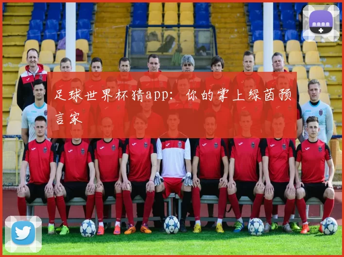 足球世界杯猜app：你的掌上绿茵预言家
