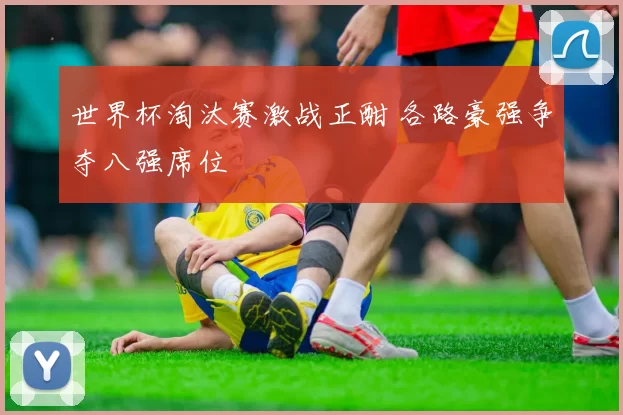 世界杯淘汰赛激战正酣 各路豪强争夺八强席位