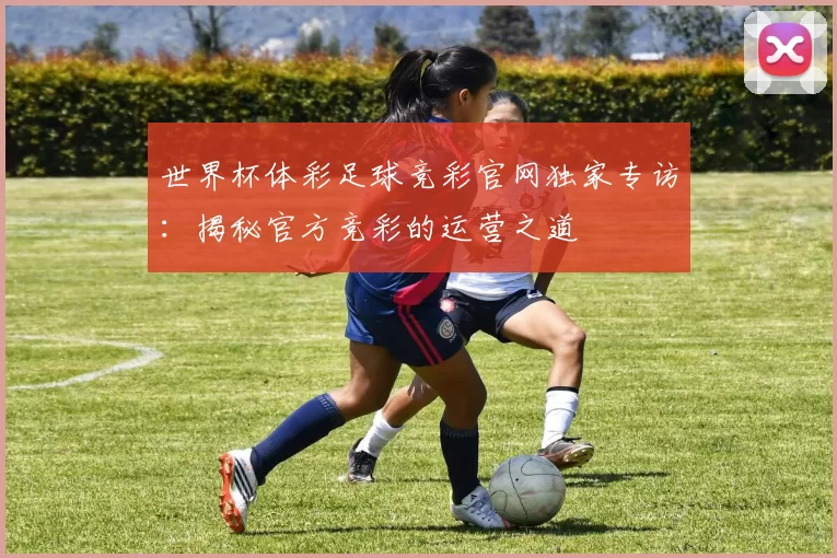 世界杯体彩足球竞彩官网独家专访：揭秘官方竞彩的运营之道