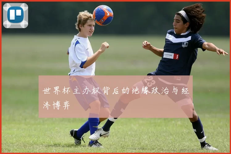 世界杯主办权背后的地缘政治与经济博弈